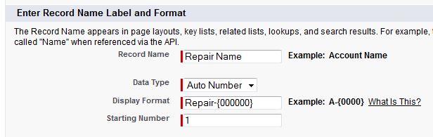 Custom Object Record Name