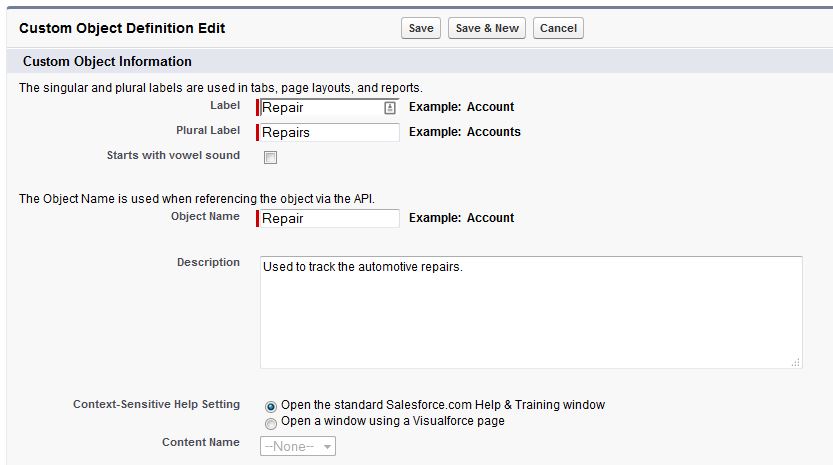 Custom Object Setup Step 1